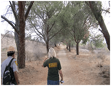 This image has an empty alt attribute; its file name is image-115.png