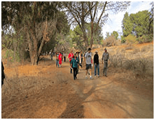 This image has an empty alt attribute; its file name is image-116.png