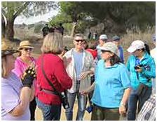 This image has an empty alt attribute; its file name is image-125.png