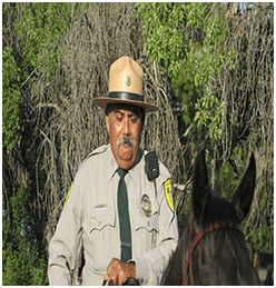 This image has an empty alt attribute; its file name is image-158.png