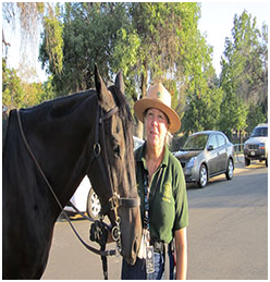 This image has an empty alt attribute; its file name is image-165.png