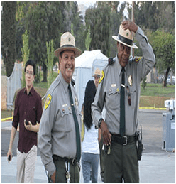 This image has an empty alt attribute; its file name is image-171.png